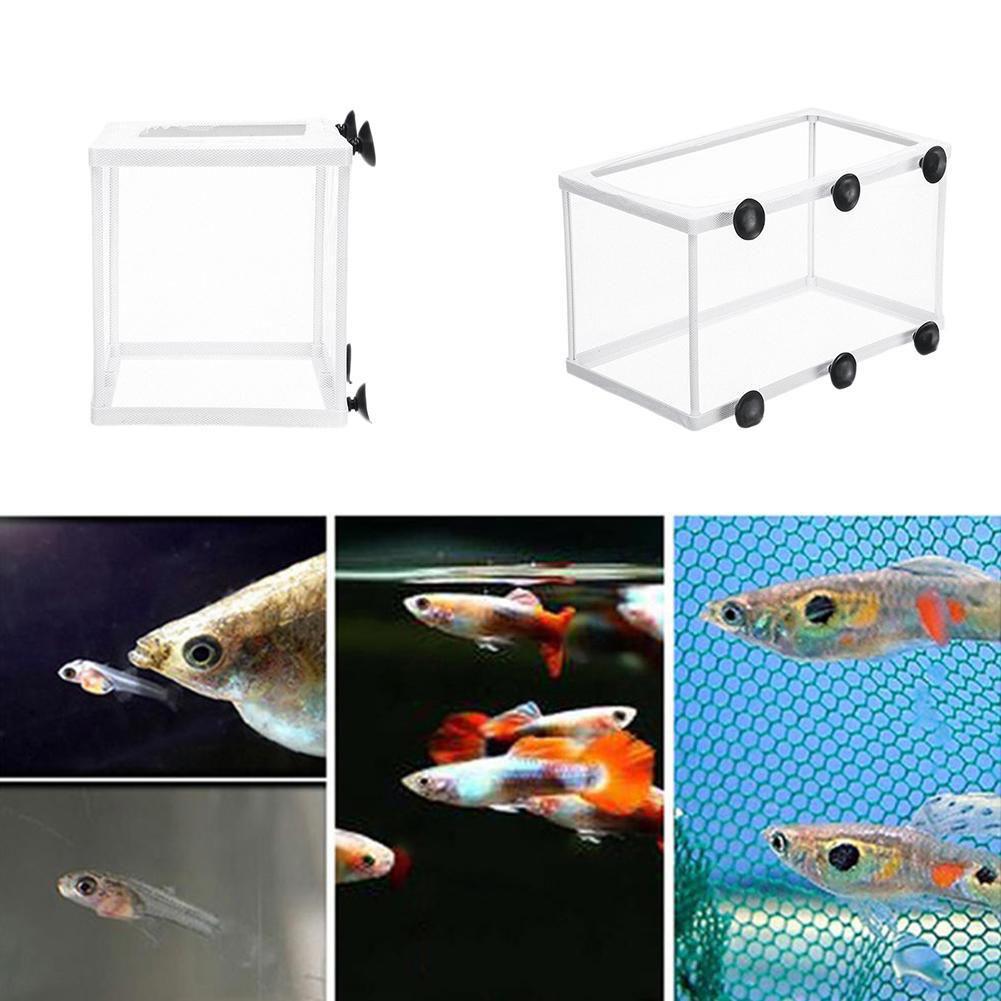 Изолирующий ящик для инкубатор – обзор и цена Aquarium Fish Jar