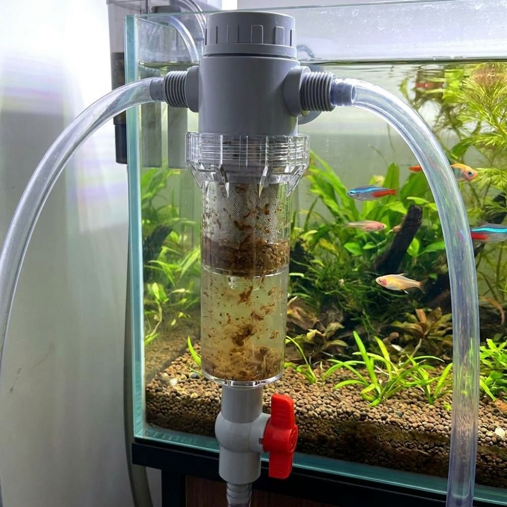 Сепаратор для аквариумных отхо – обзор и цена Aquarium Fish Rate