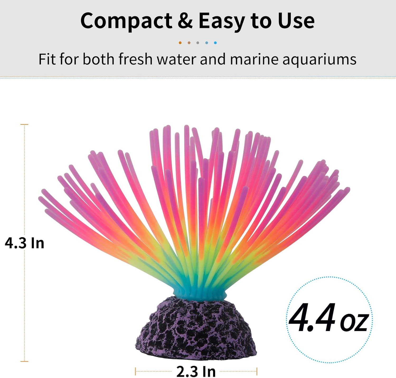 Имитация морского ежа-радуги д – обзор и цена Aquarium Fish Rainbow