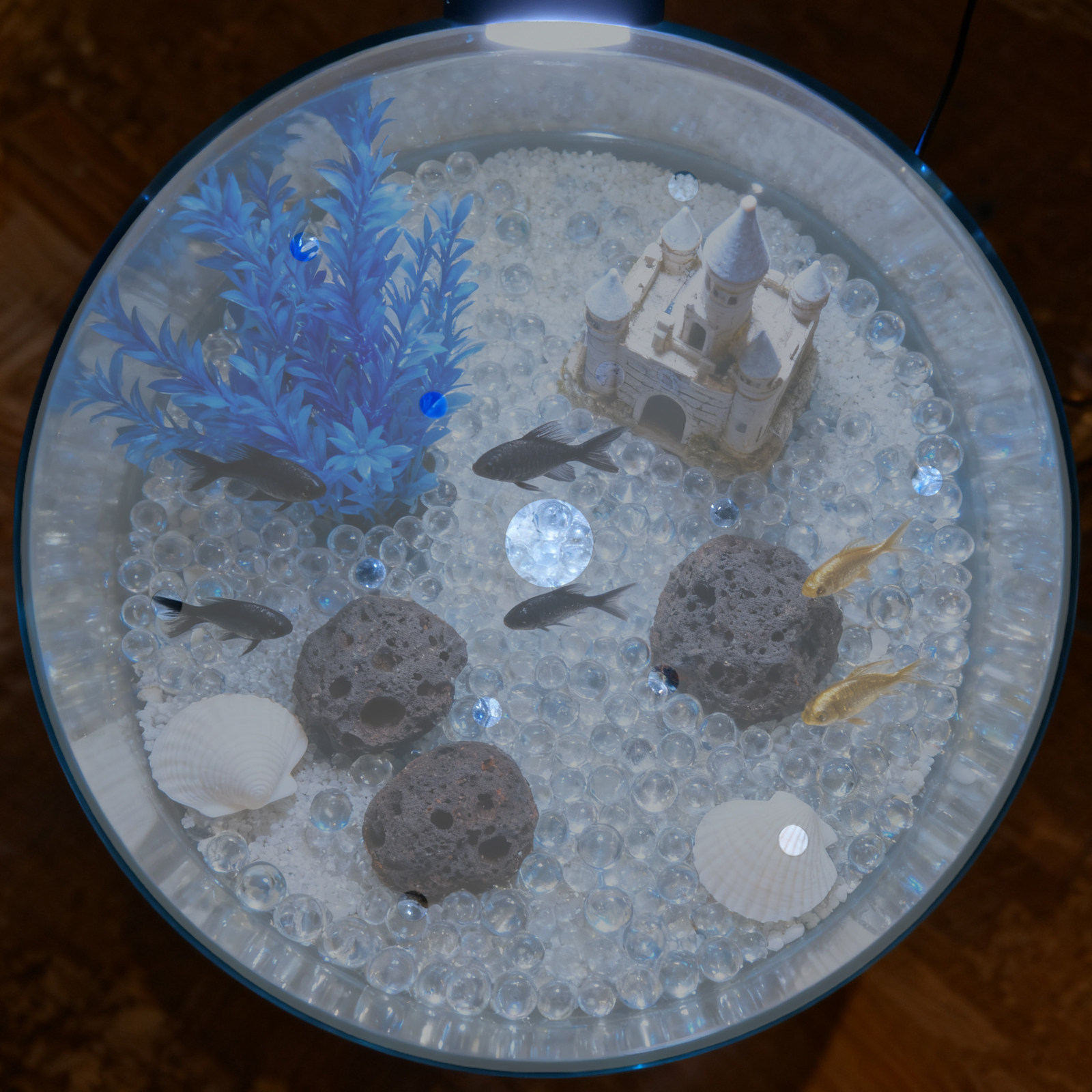 Круглая акриловая крышка для а – обзор и цена Aquarium Fish Jar