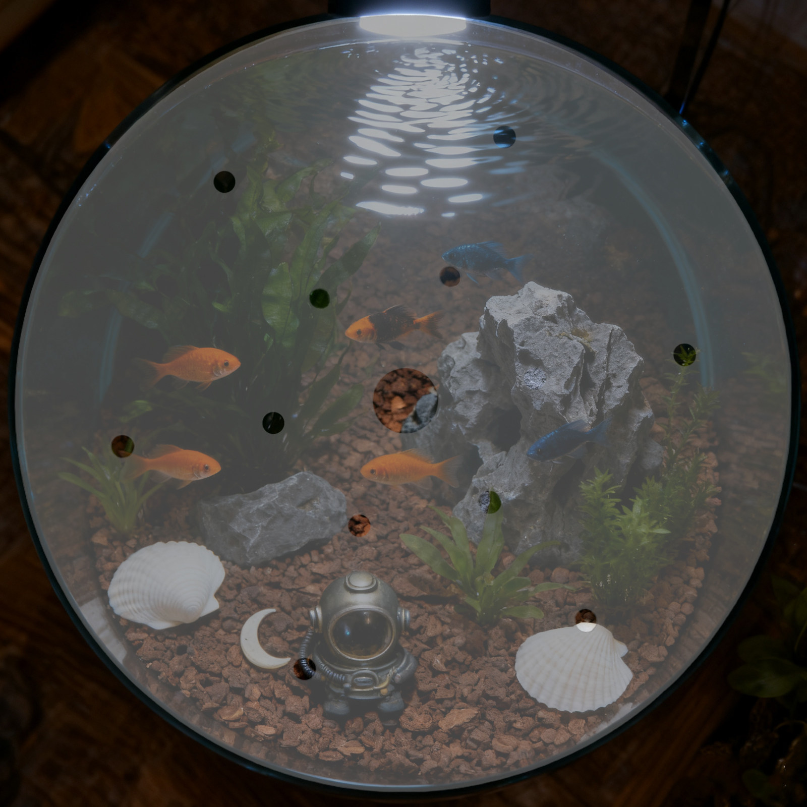 Круглая акриловая крышка для а – обзор и цена Aquarium Fish Jar
